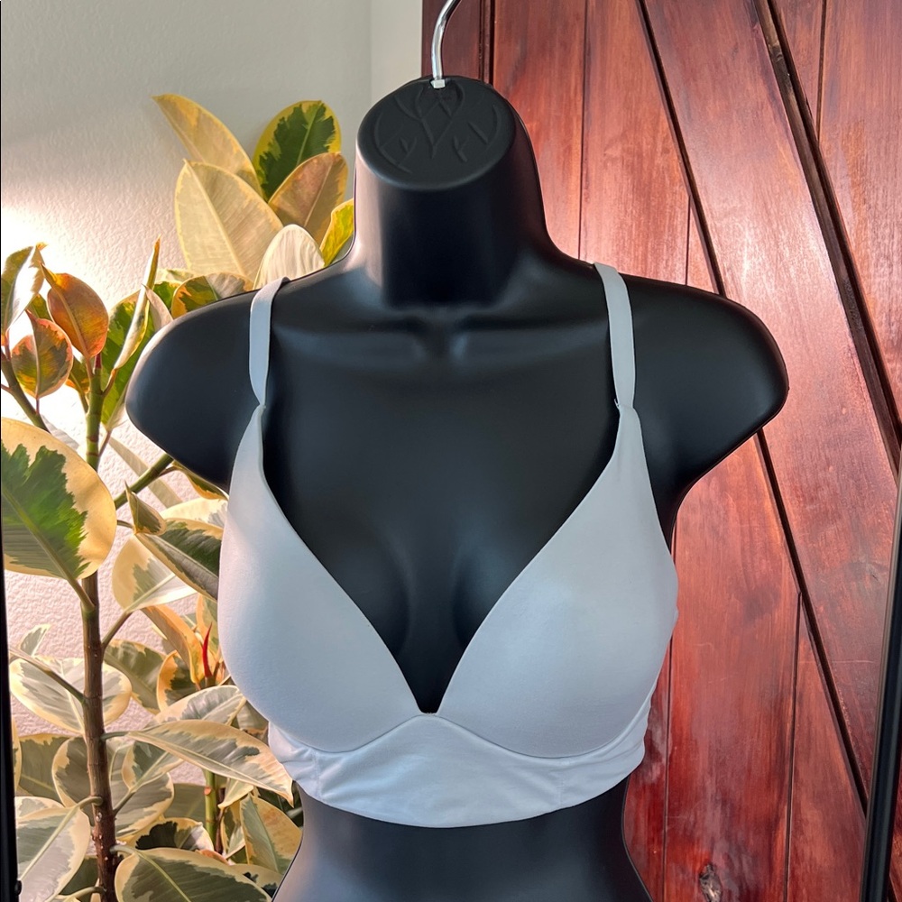 Lightly lined plunge bra